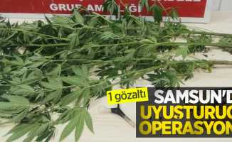 Samsun'da uyuşturucu operasyonu: 1 gözaltı