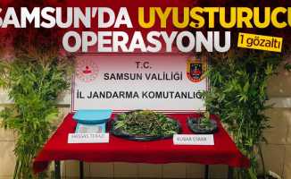 Samsun'da uyuşturucu operasyonu: 1 gözaltı