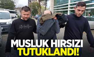 Musluk hırsızı tutuklandı! 