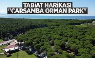 Tabiat harikası "Çarşamba Orman Park"