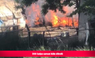 300 balya saman küle döndü