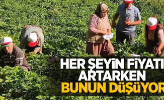 Her şeyin fiyatı artarken bunun düşüyor