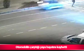 Otomobilin çarptığı yaya hayatını kaybetti