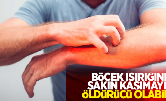 Böcek ısırığını sakın kaşımayın: Öldürücü olabilir!