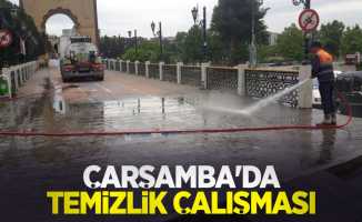 Çarşamba'da temizlik çalışması