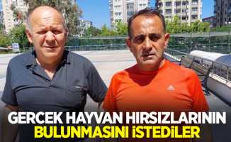 Gerçek hayvan hırsızlarının bulunmasını istediler