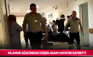 Ihlamur ağacından düşen adam hayatını kaybetti