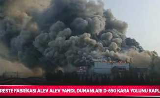 Kereste fabrikası alev alev yandı, dumanları D-650 kara yolunu kapladı