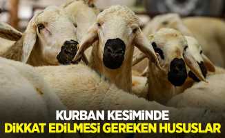 Kurban kesiminde dikkat edilmesi gereken hususlar