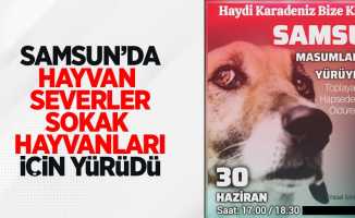 Samsun'da Hayvanseverler Sokak Hayvanları İçin Yürüdü