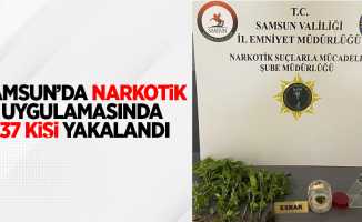 Samsun'da narkotik uygulamasında 37 kişi yakalandı