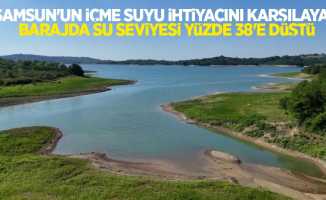 Samsun'un içme suyu ihtiyacını karşılayan barajda su seviyesi yüzde 38'e düştü