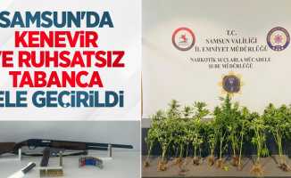 Samsun’da kenevir ve ruhsatsız tabanca ele geçirildi