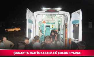 Şırnak’ta trafik kazası: 4’ü çocuk 8 yaralı