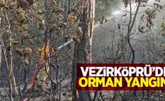 Vezirköprü'de orman yangını