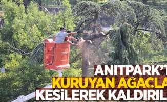 Anıtpark’ta kuryan ağaçlar kesilerek kaldırıldı 