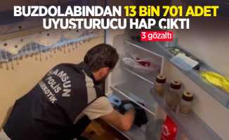 Buzdolabından 13 bin 701 adet uyuşturucu hap çıktı: 3 gözaltı