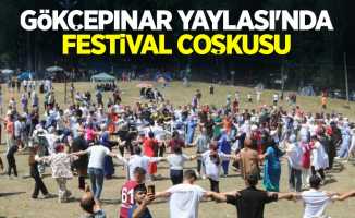 Gökçepınar Yaylası’nda festival coşkusu