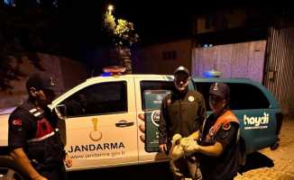 Jandarma ekiplerince yaralı halde bulunan leylek koruma altına alındı