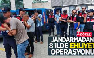 Jandarmadan 8 ilde ehliyet operasyonu: 4 gözaltı