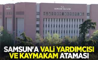 Samsun'a vali yardımcısı ve kaymakam ataması