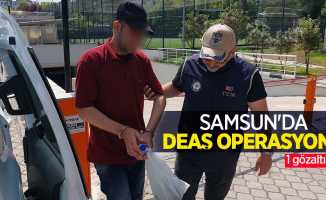 Samsun'da DEAŞ operasyonu: 1 gözaltı