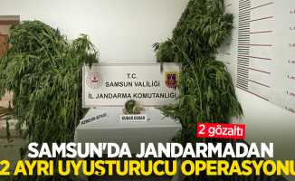 Samsun'da jandarmadan 2 ayrı uyuşturucu operasyonu: 2 gözaltı