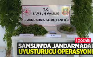 Samsun'da jandarmadan uyuşturucu operasyonu: 1 gözaltı