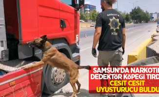 Samsun'da narkotik dedektör köpeği tırda çeşit çeşit uyuşturucu buldu