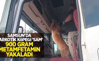 Samsun'da narkotik köpeği 'Sam' 900 gram metamfetamin yakaladı