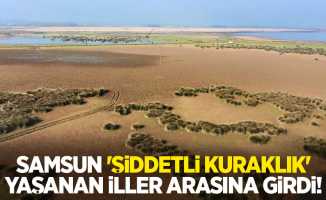 Samsun 'şiddetli kuraklık' yaşanan iller arasına girdi!