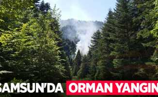 Samsun’da orman yangını