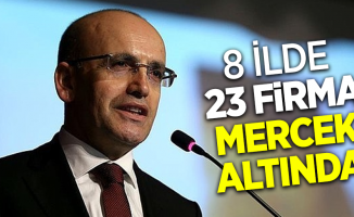 8 İlde 23 firma mercek altında