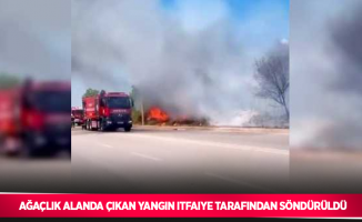 Ağaçlık alanda çıkan yangın itfaiye tarafından söndürüldü