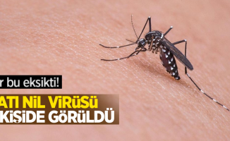 Bir bu eksikti: Batı Nil Virüsü 6 kişide görüldü!