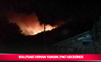 Bolu’daki orman yangını 2’nci gecesinde