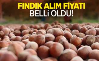 Fındık alım fiyatı belli oldu!