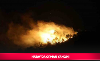 Hatay’da orman yangını