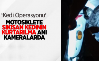 Kedi operasyonu: Motosiklete sıkışan kedinin kurtarılma anı kameralarda