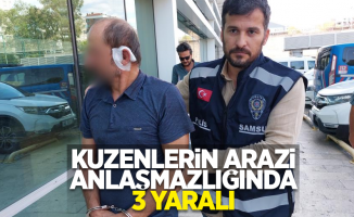 Kuzenlerin arazi anlaşmazlığında 3 yaralı