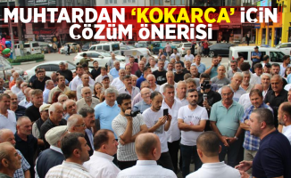 Muhtarlardan ‘kokarca' için çözüm önerisi