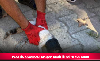 Plastik kavanoza sıkışan kediyi itfaiye kurtardı