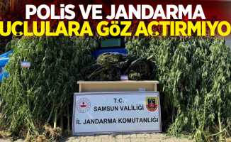 Polis ve jandarma suçlulara göz açtırmıyor