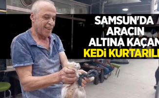 Samsun'da aracın altına kaçan kedi kurtarıldı