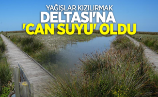 Yağışlar Kızılırmak Deltası'na 'Can suyu' oldu