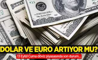 13 Eylül Cuma dolar ne kadar oldu, euro ne kadar?