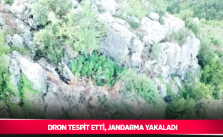 Dron tespit etti, jandarma yakaladı