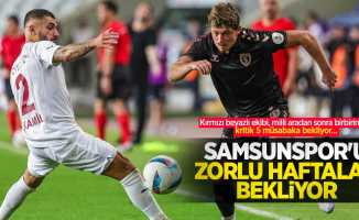 Kırmızı beyazlı ekibi, milli aradan sonra birbirinden kritik 5 müsabaka bekliyor...  Samsunspor'u zorlu haftalar  bekliyor