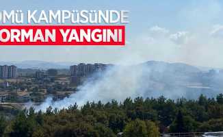 OMÜ kampüsünde orman yangını