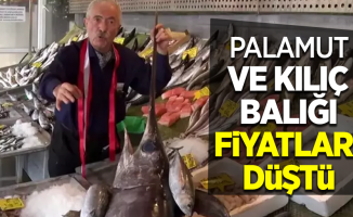 Palamut ve kılıç balığı fiyatları düştü